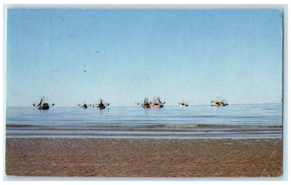 1980 Part of Shrimp Fleet on the Way to Hunting Grounds Sonora Mexico Postcard