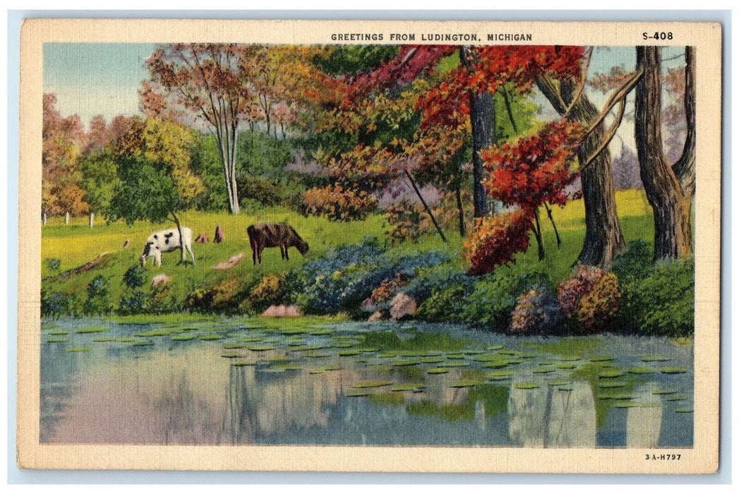 1937 Greetings From Ludington Michigan MI, River Cows View Vintage Postcard