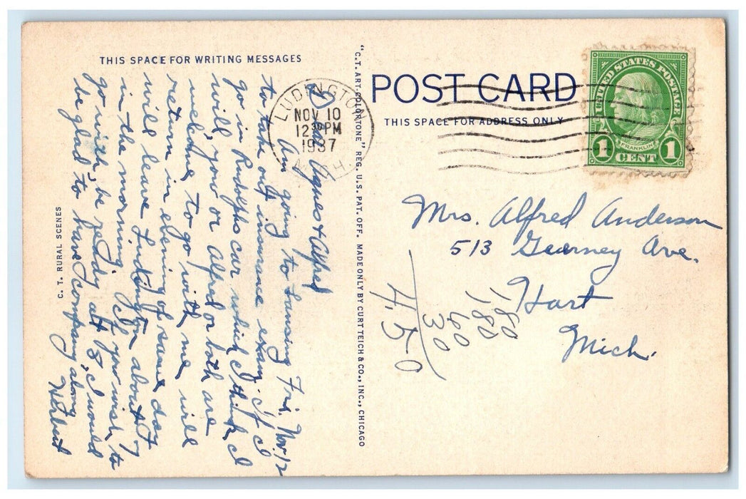 1937 Greetings From Ludington Michigan MI, River Cows View Vintage Postcard