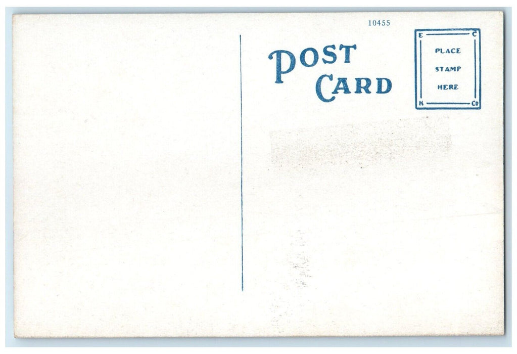 View Of Public Library Building Ludington Michigan MI Unposted Postcard