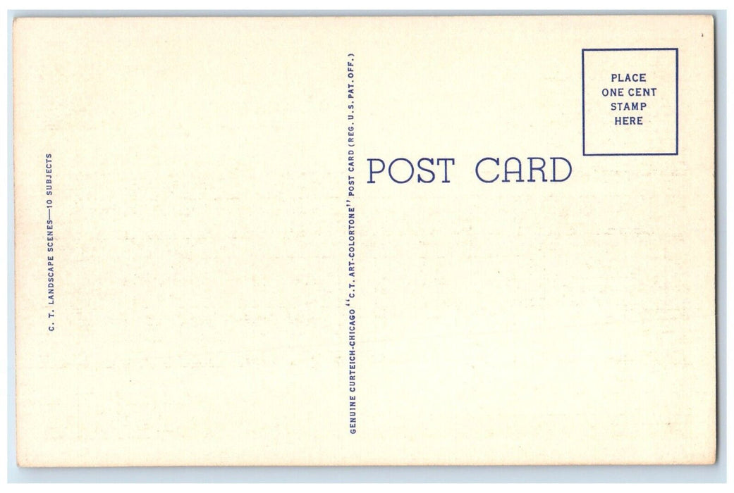 1940 Scenic View Indian Summer Peninsula Iron Mountain Michigan Vintage Postcard