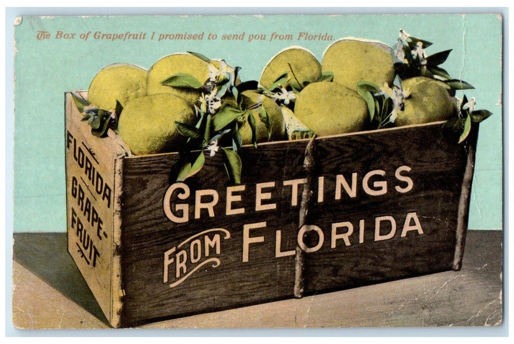 1912 Greetings From Florida, The Box Of Grapefruit De Leon Springs FL Postcard