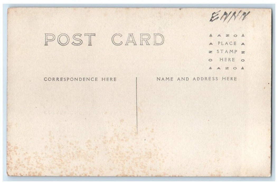 c1910's The Ferry Horse & Wagon View Pentwater Michigan MI RPPC Photo Postcard