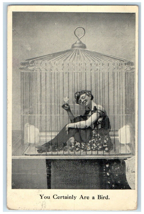 1909 Woman In Bird Cage You Certainly Are A Bird Hicksville Ohio OH Postcard