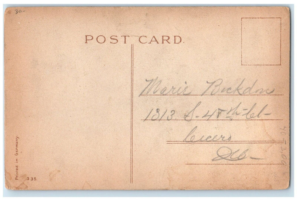 c1910's Happy Easter Chicks Camera Flowers Pot Cairo Illinois IL Posted Postcard