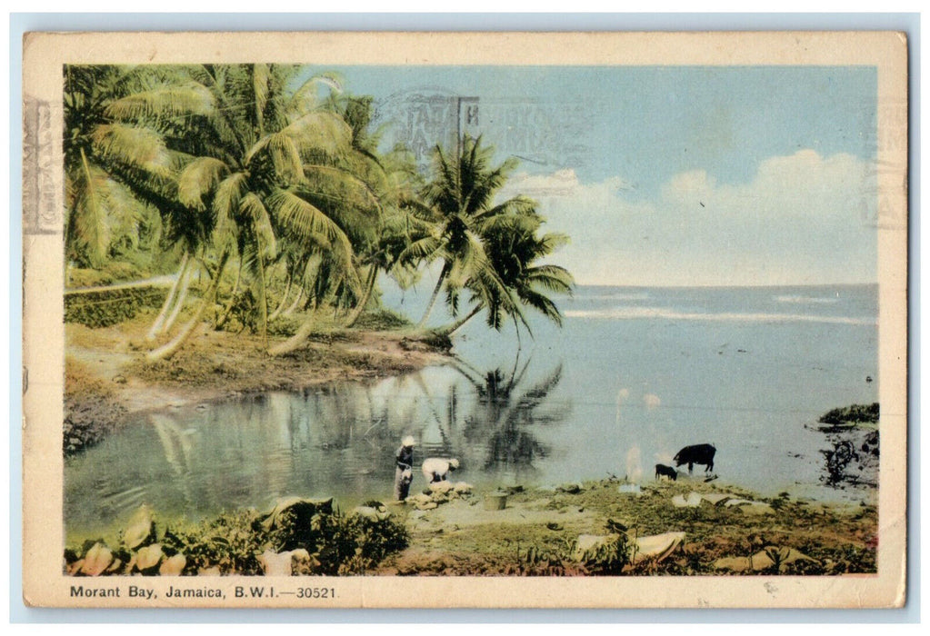 1947 Animals People Scene at Morant Bay Jamaica B.W.I. Posted Postcard