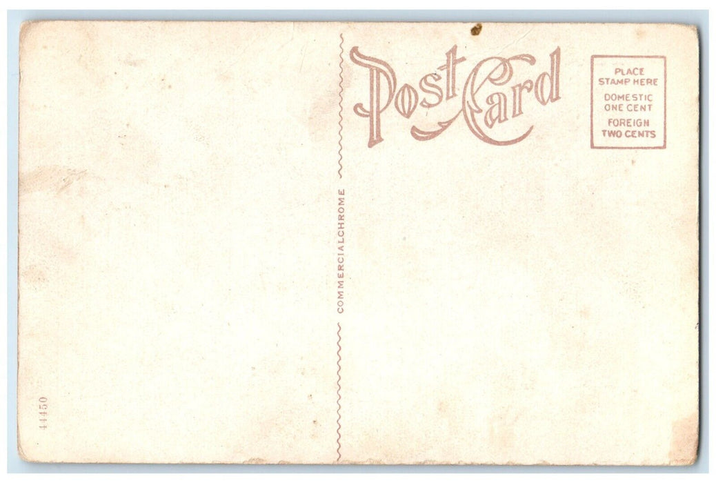 c1930's Science Building Central State Normal School Mt. Plesant MI Postcard