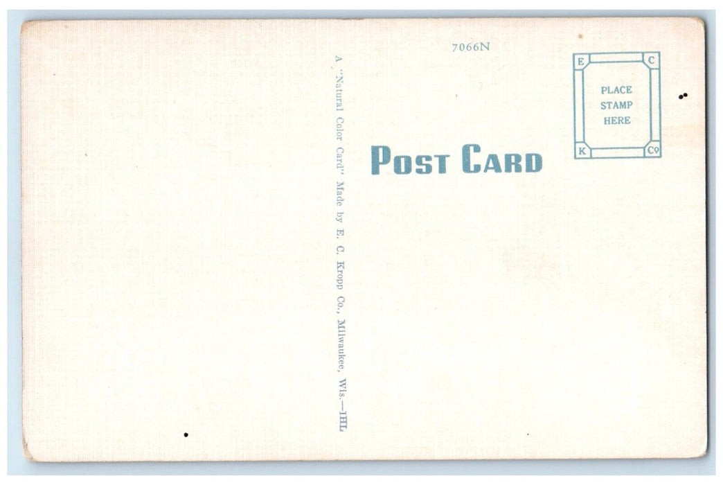c1930's Northern Michigan College Of Education Marquette Michigan MI Postcard