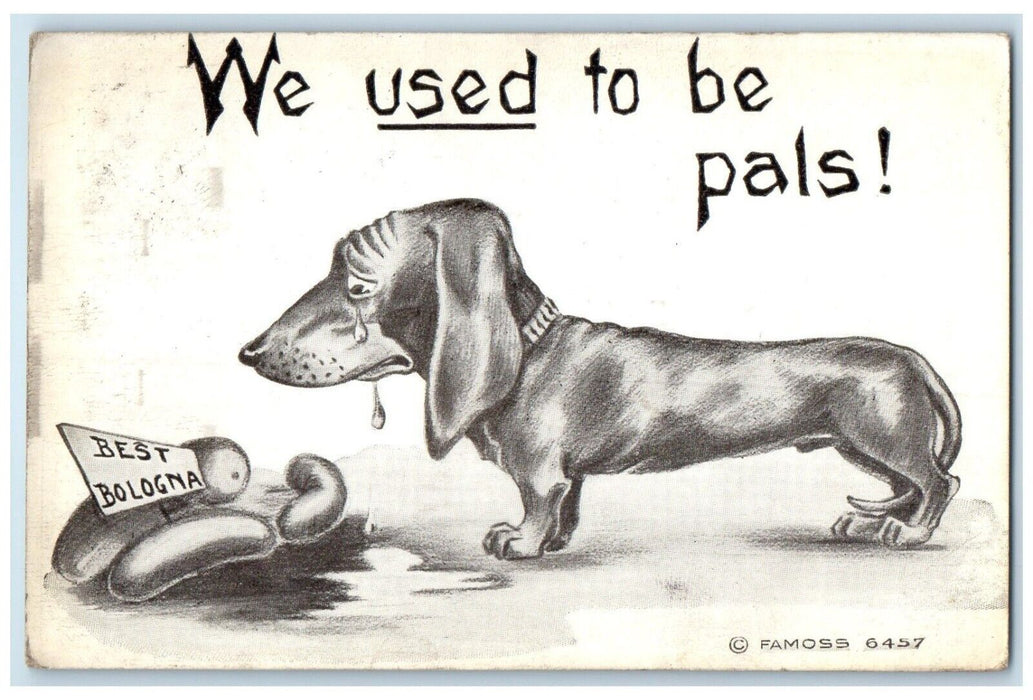 1910 Hungry Dog Best Bologna We Used To Be Pals Chicago Illinois IL Postcard