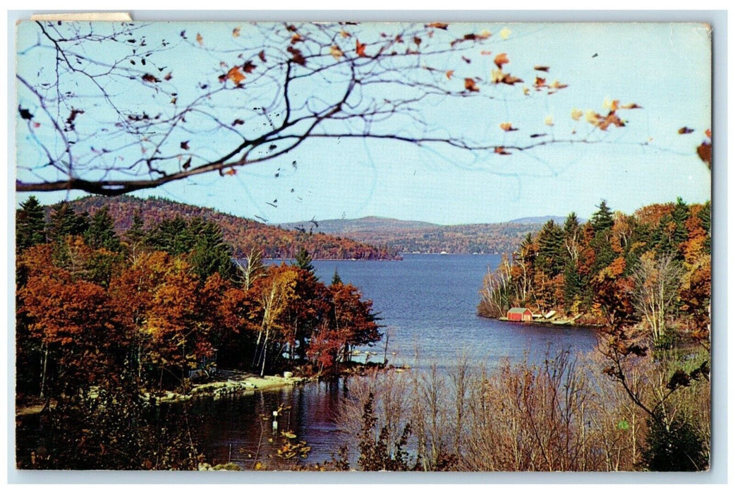 1964 Fall Setting Minge Cove Lake Winnipesaukee New Hampshire Vintage Postcard