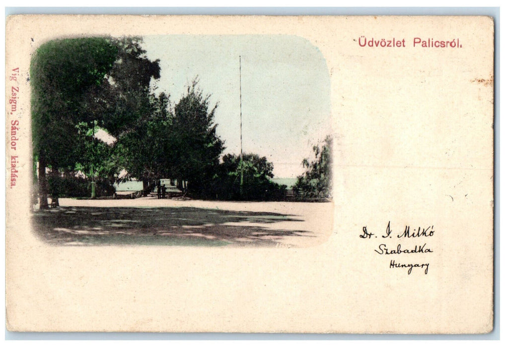 1906 Greetings from Palicsrol Serbia Washington PA Antique Posted Postcard