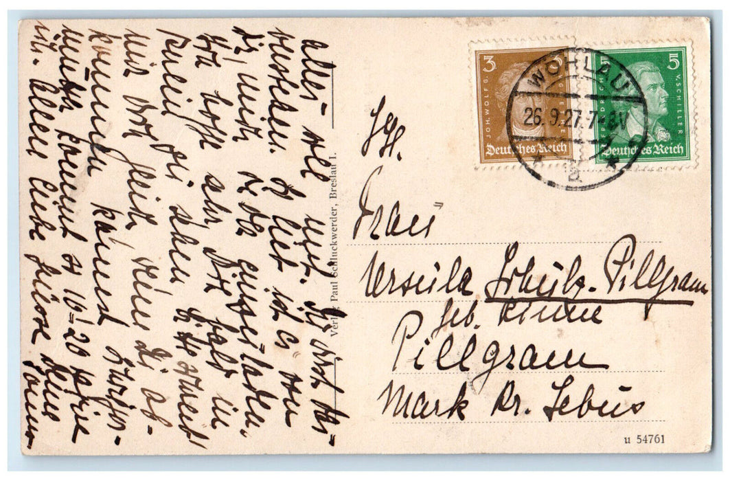 1927 Large Garden in Wohlau (Wołów) Lower Silesian Voivodeship Poland Postcard