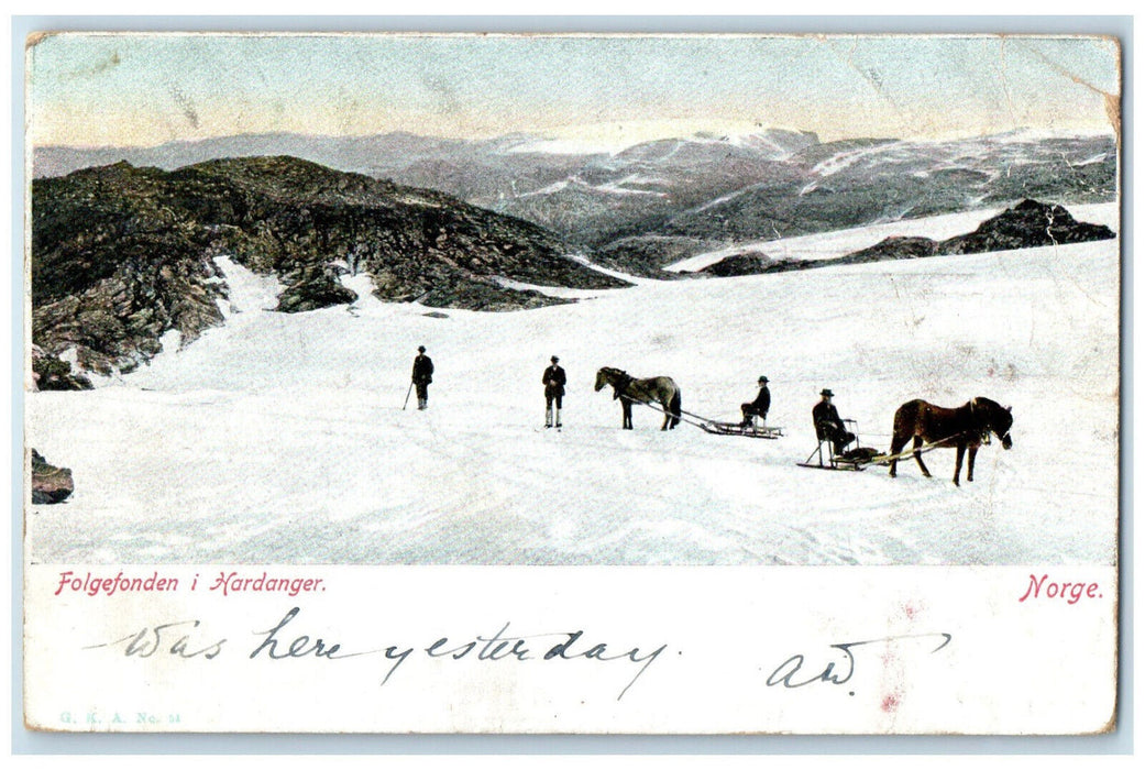 1905 Folgefonden in Hardanger Norway Horse Sleigh Posted Antique Postcard