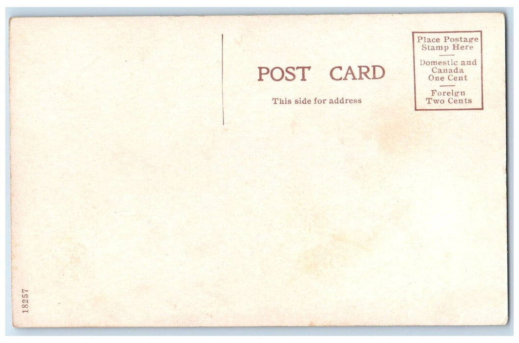 1910 Birdseye View Campus Front University Michigan Ann Arbor Michigan Postcard