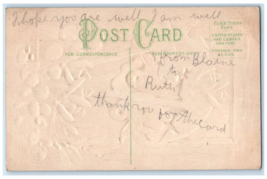 c1910s Easter Chicks In Hatched Egg Cattail Pipe Berry Embossed Antique Postcard