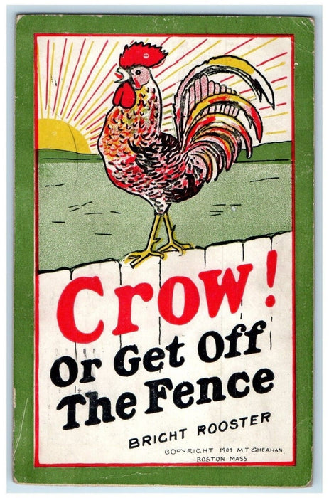 1909 Bright Rooster Crow Or Get Off The Fence Louisville Kentucky KY Postcard