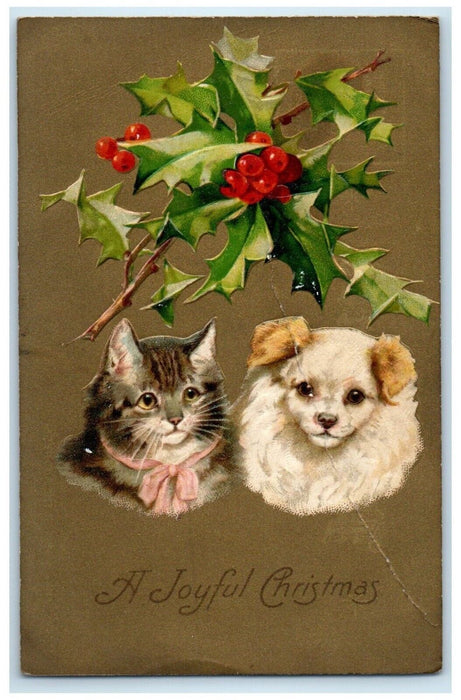 c1905 Christmas Cute Cat Kitten Holly Berries Embossed Nash Antique Postcard