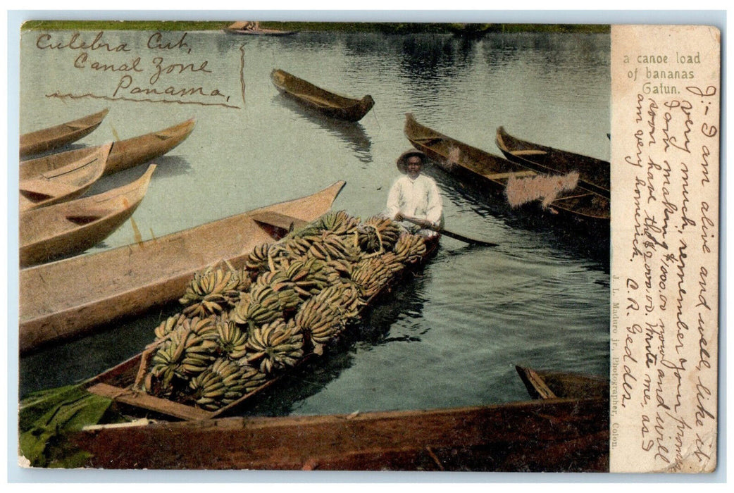 1905 A Canoe Load of Bananas Gatun Culebra Canal Zone Panama Postcard