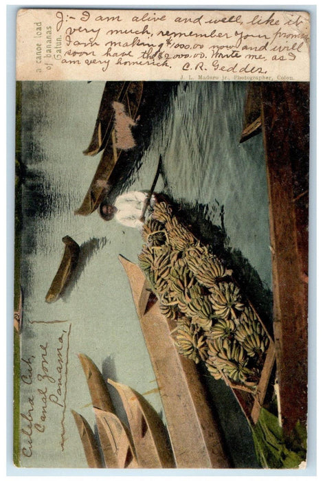 1905 A Canoe Load of Bananas Gatun Culebra Canal Zone Panama Postcard