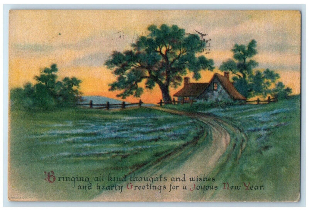 c1910's New Year Greetings House Trees Endicott New York NY Wolf Posted Postcard