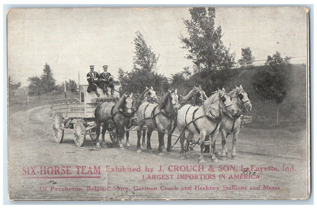 c1910's Six Horse Team J Crouch & Son Lafayette Indiana IN Antique Postcard