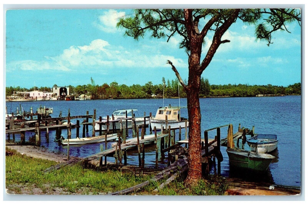 c1960 Scenic View Park Drive Yacht Boat Trees Port Salerno Florida FL Postcard