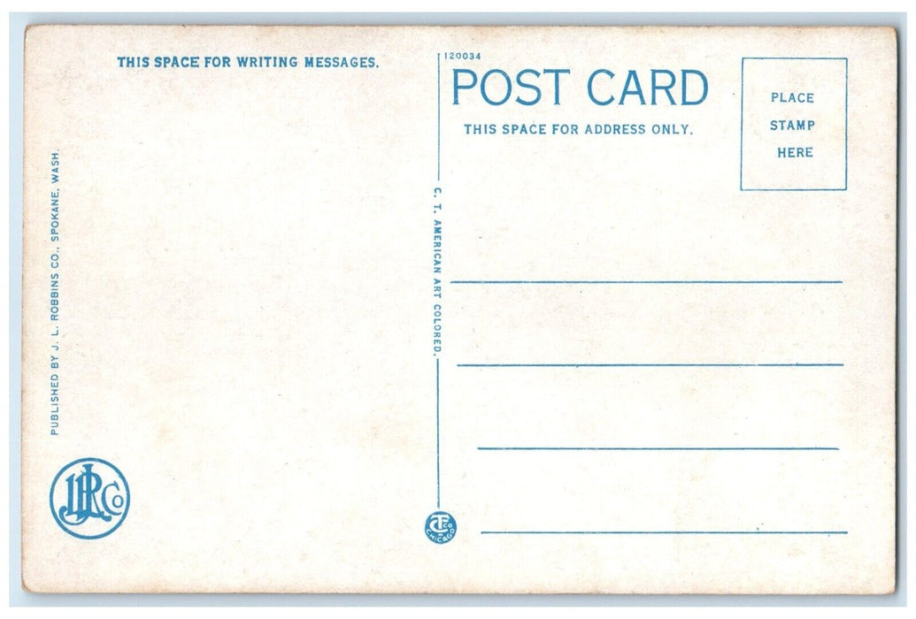 c1920 Scenic View East Side Big Horn Mountains Black Yellow Trail WA Postcard