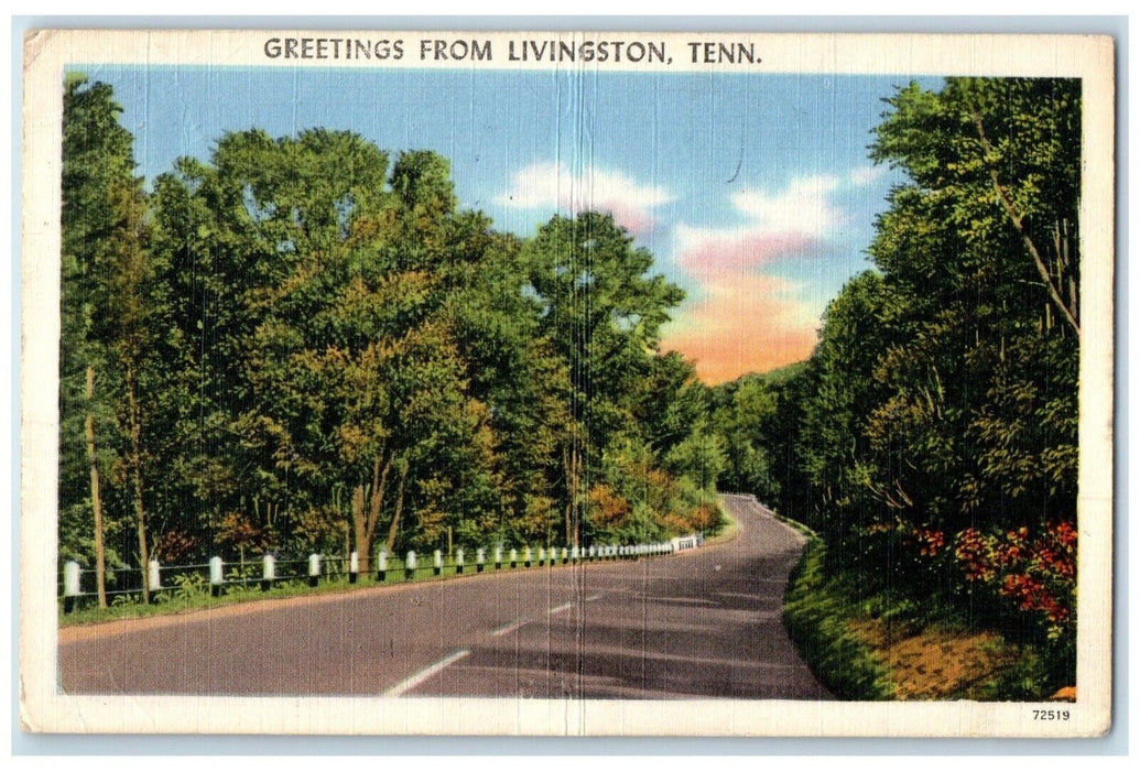 c1960 Greetings From Livingston Tennessee TN Road Trees Vintage Antique Postcard