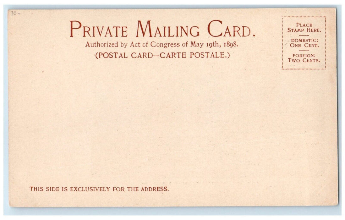 c1900's View Of Palmettoes On Tybee Island Savannah Georgia GA Antique Postcard