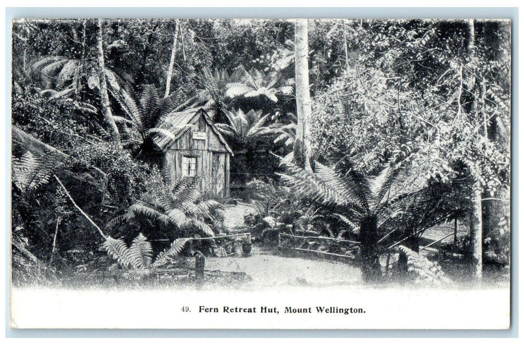 c1910 Fern Retreat Hut Mount Wellington Tasmania Australia Antique Postcard
