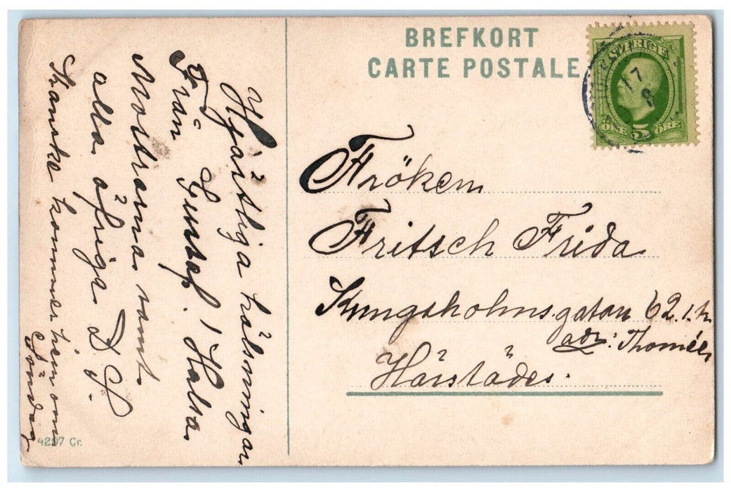 c1910 Hoganloft o. Bredablick Skansen Stockholm Sweden Posted Postcard