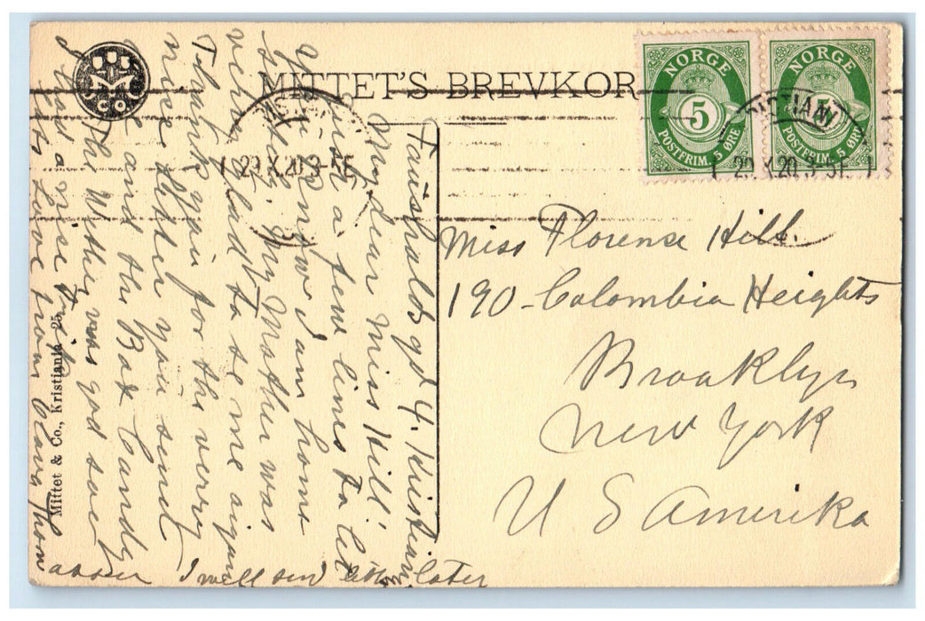 1920 View of Tinfoss Waterfall in Notodden Telemark Norway Posted Postcard