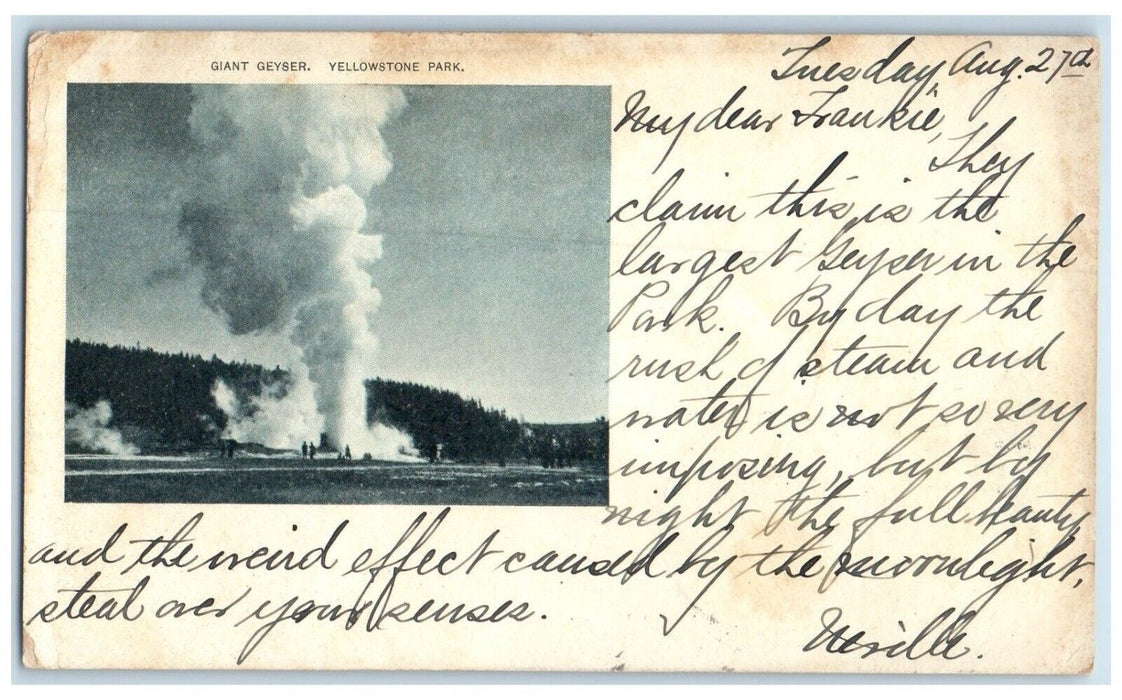 1901 Giant Geyser Yellowstone Park Mammoth Hot Spring Wyoming WY Posted Postcard