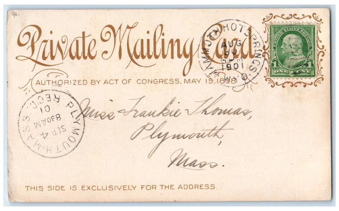 1901 Giant Geyser Yellowstone Park Mammoth Hot Spring Wyoming WY Posted Postcard