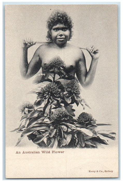 c1905 An Australian Wild Flower, Nude Woman Unposted Antique Postcard