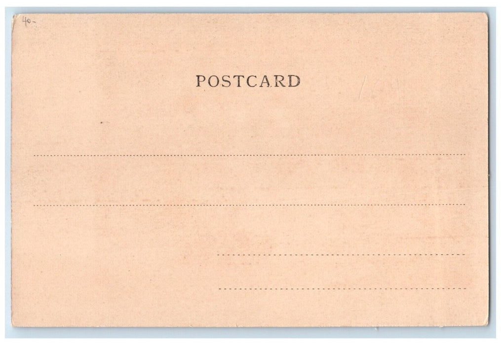 c1905 View Of Public Garden Trees Hong Kong Unposted Antique Postcard