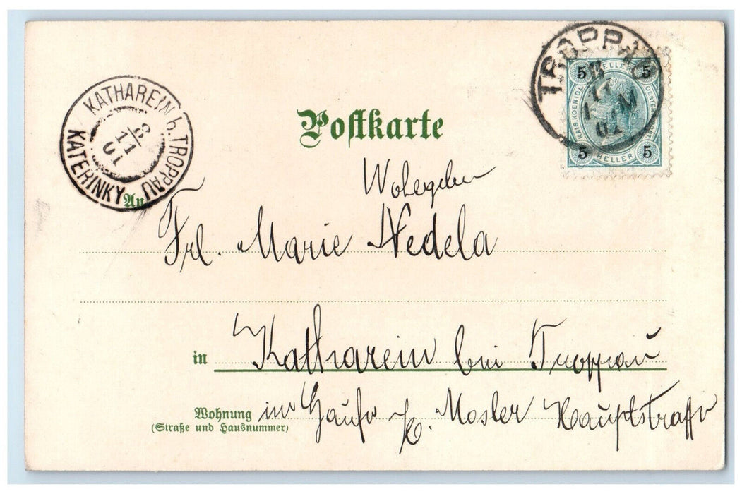 1901 August M. Seeger Monthly Greeting Serie II Antiuqe Posted Postcard