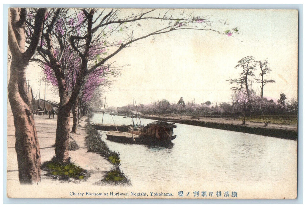 c1910 Cherry Blossom at Horiwari Negishi Yokohama Japan Posted Antique Postcard