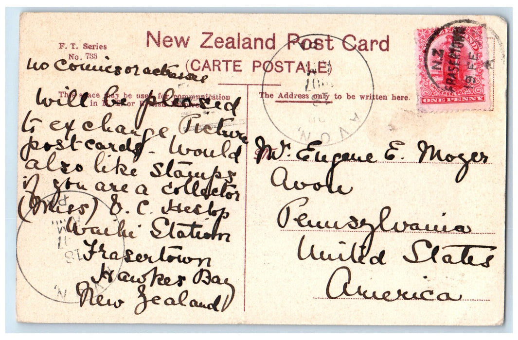 1907 A Favourite Spot Racecourse Wanganui New Zealand Avon PA FT Series Postcard