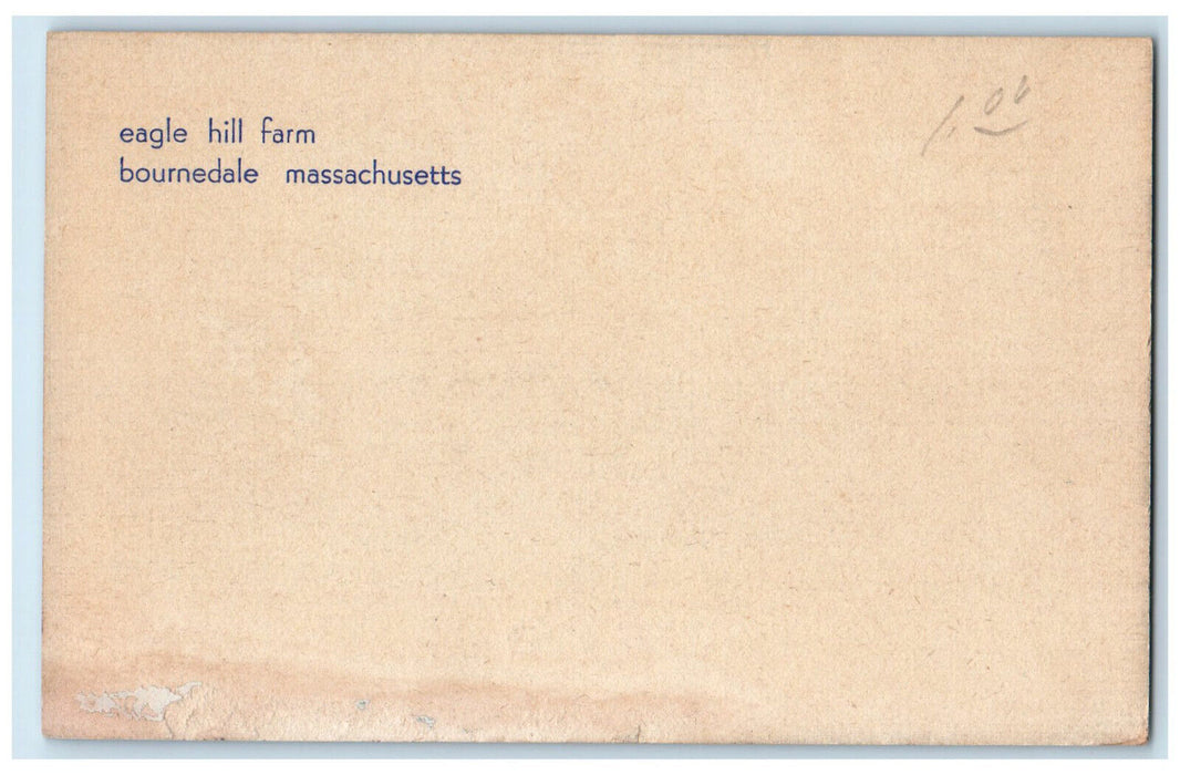 c1940's Eagle Hill Farm Bournedale Massachusetts MA Vintage Unposted Postcard