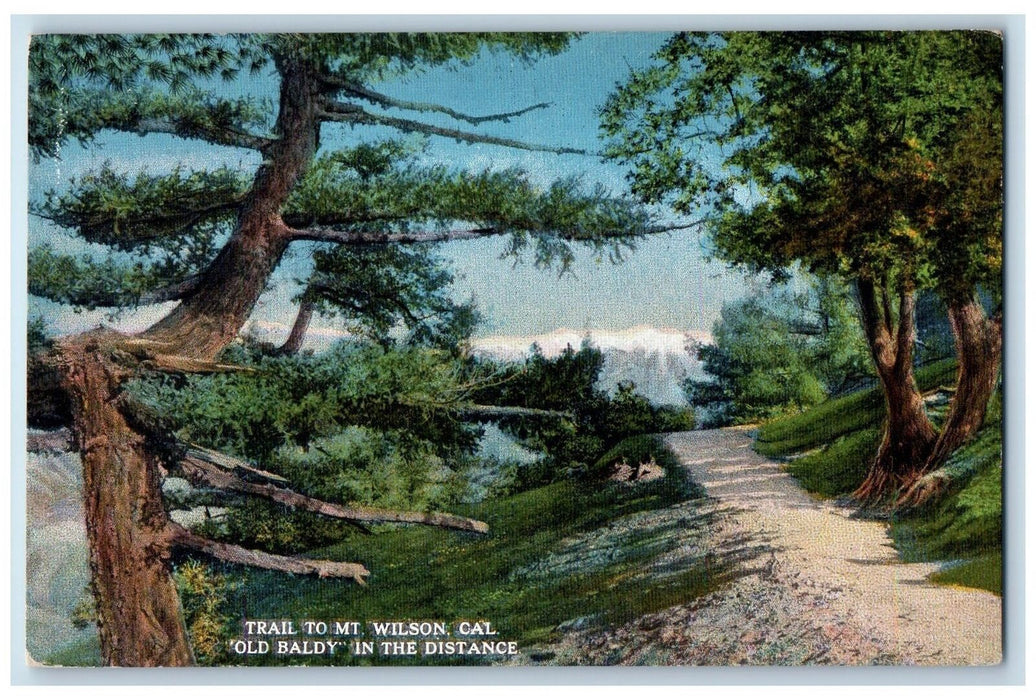 c1920's Trail To Mount Wilson Old Baldy Scene California CA Unposted  Postcard