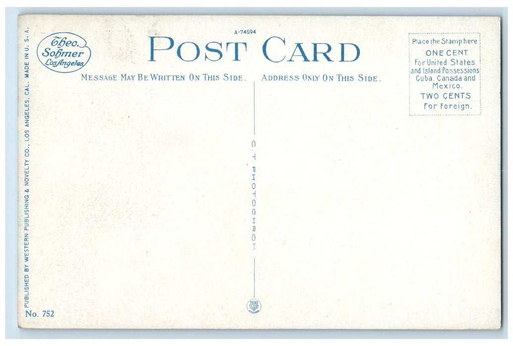c1920's Trail To Mount Wilson Old Baldy Scene California CA Unposted  Postcard
