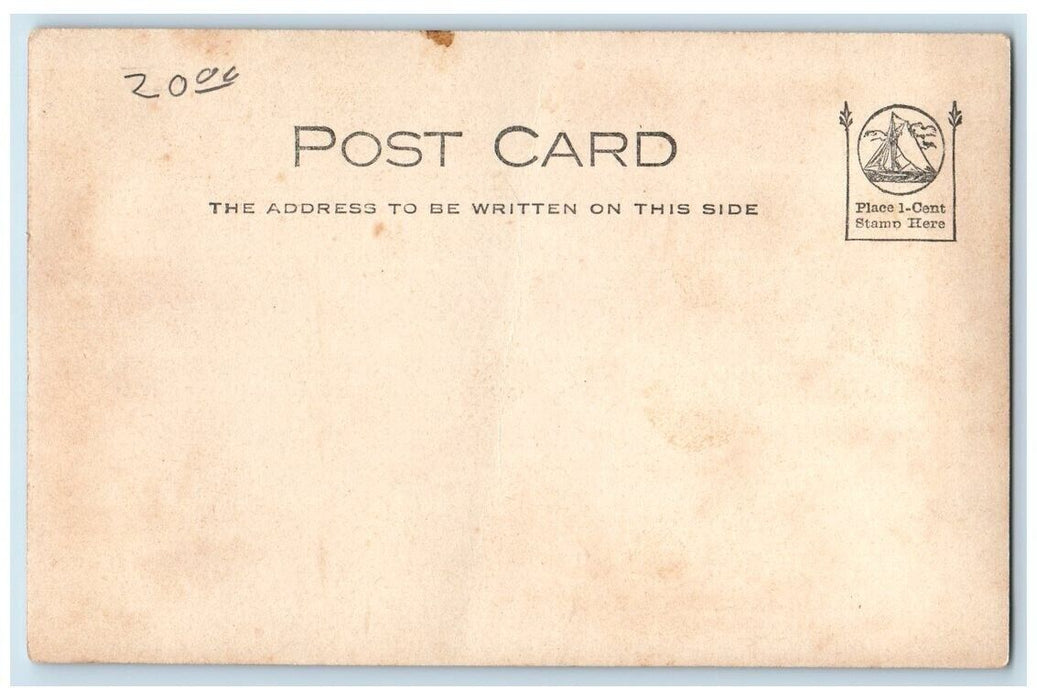 c1905 Residence View Looking East Railroad Tracks Collins NY RPPC Photo Postcard