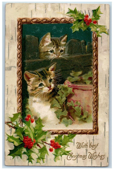 1907 Christmas Holly Cute Cat Embossed Helen Maguire Chicago IL Antique Postcard