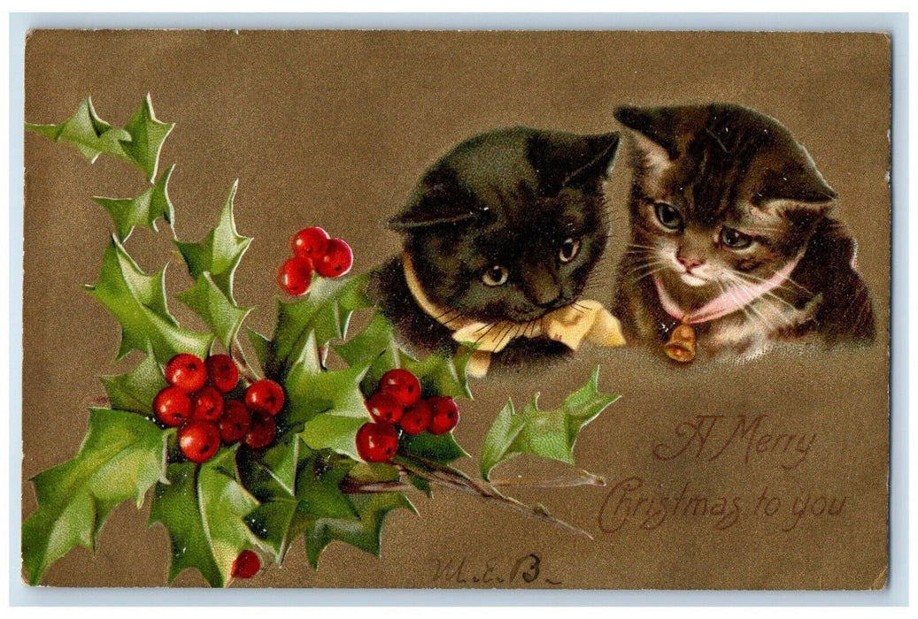 1906 Christmas Cats Kitten Holly Berries Embossed Peoria Illinois IL Postcard