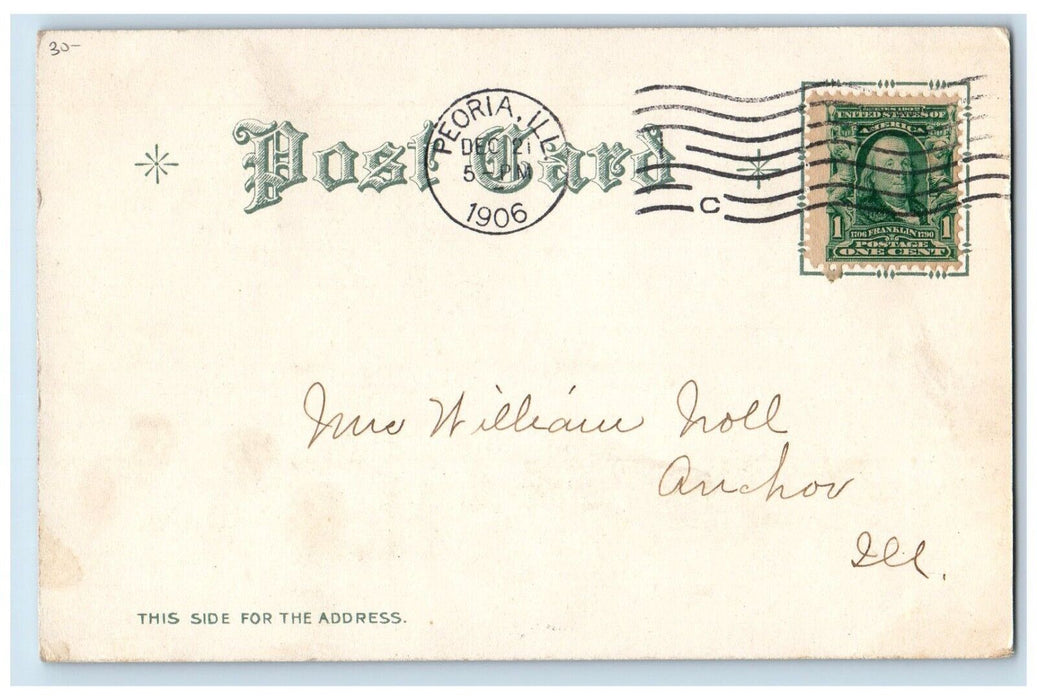1906 Christmas Cats Kitten Holly Berries Embossed Peoria Illinois IL Postcard