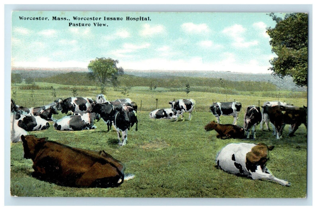 c1910 Worcester Insane Asylum Hospital Cow Pasture Massachusetts MA Postcard