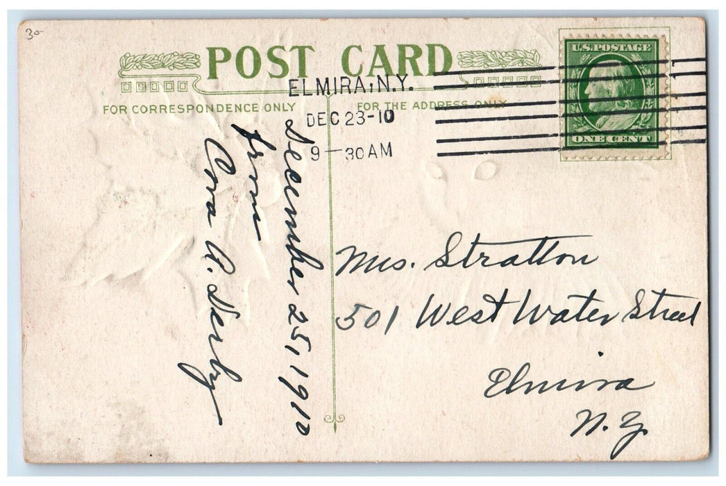 1910 Christmas Holly Cute Cat Embossed Elmira New York NY Antique Postcard