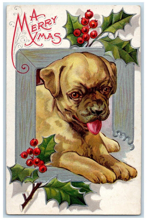 c1910's Christmas Bulldog Pug Boxer Puppy Dog Holly Embossed Antique Postcard