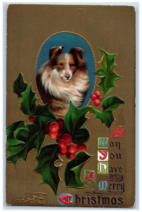 c1910's Christmas Holly Berries Border Collie Dog Embossed Antique Postcard